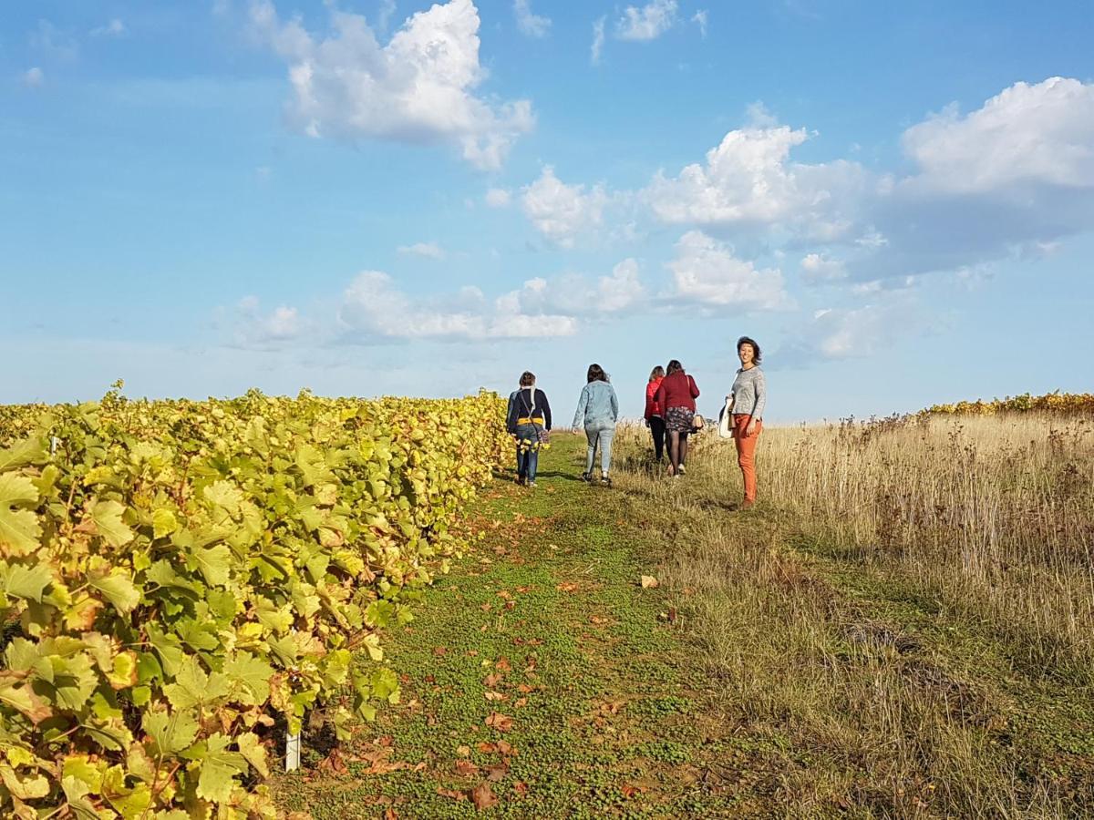 Aux Nids D'Hirondelles Apartman Pouilly-sur-Loire Kültér fotó