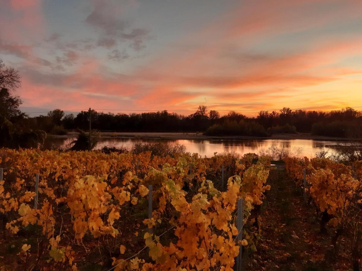 Aux Nids D'Hirondelles Apartman Pouilly-sur-Loire Kültér fotó